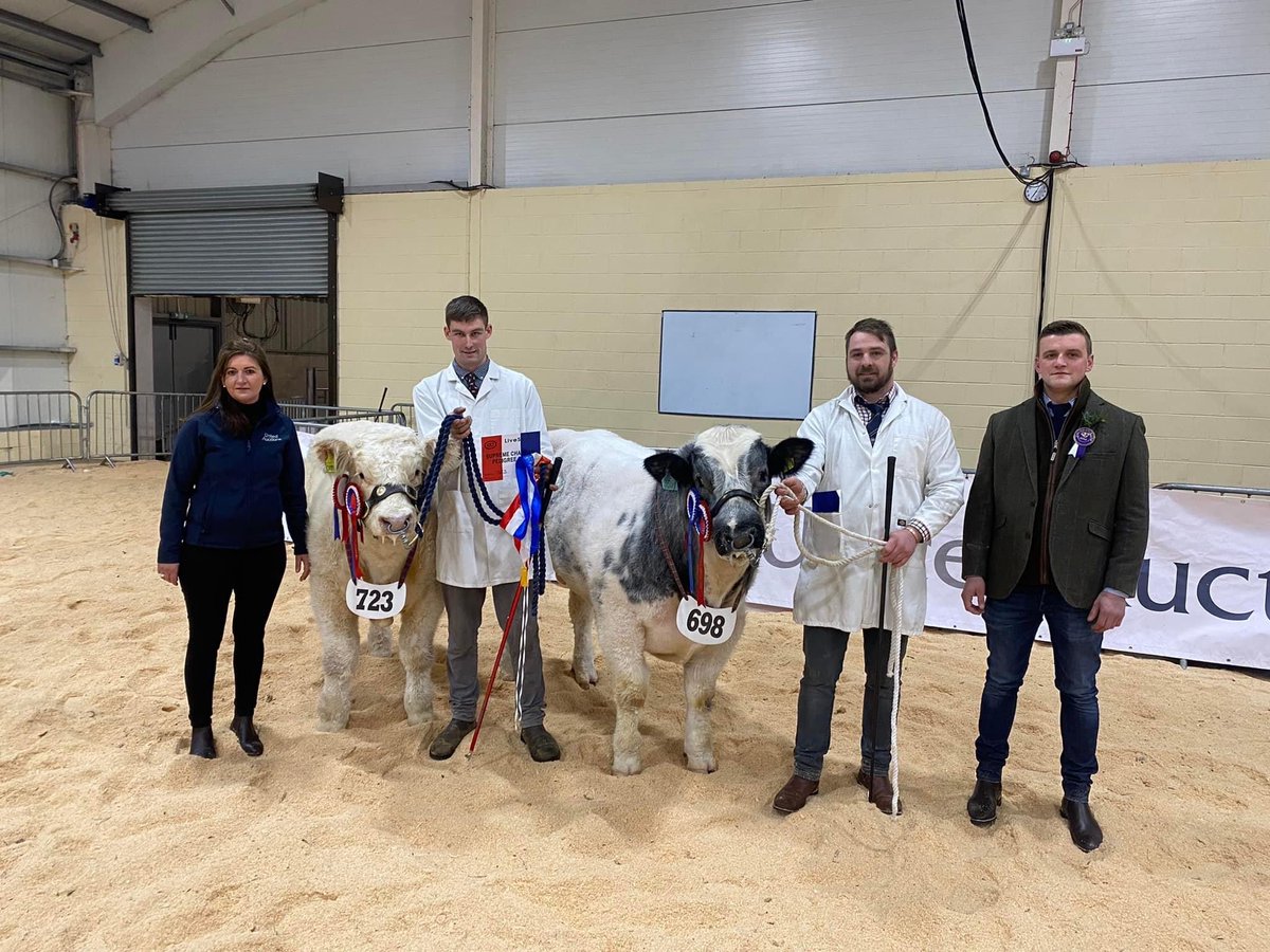 Amy Muirhead visited Lanark Market on Friday where we sponsored the Lanarkshire Young Farmers Calf Rally.

#Lanark #Lanarkshire #YoungFarmers #YoungFarmersClub #CalfRally #AgriculturalAccountants #AccountantsinDumfriesandGalloway #SupportBritishFarmers #FarmLife #LanarkMarket