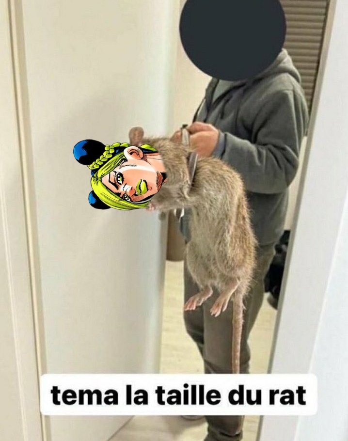 JustYuuKii's tweet photo. Jolyne dans l'épisode 2 de Stone Ocean : https://t.co/DlX5OmyGoT