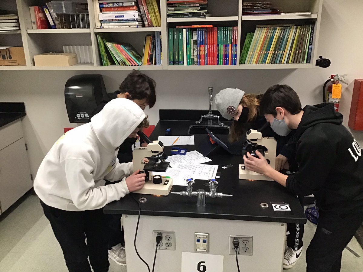 NJHScience7's tweet photo. Microscope Day 1! https://t.co/BUyo3Bhvwx