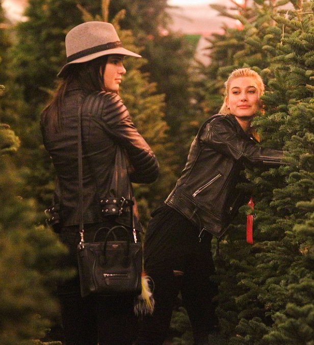 fetusbaldwin's tweet photo. its december! and here's hailey baldwin hugging a christmas tree https://t.co/lnNa6guwir
