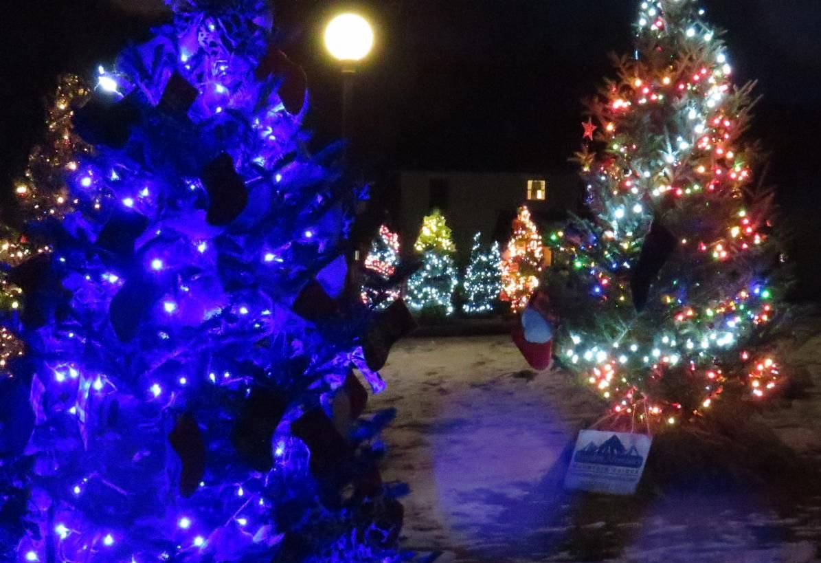 Snow is here!  Christmas Tree contest, Self-Care deals, Local Gift ideas and more happening this month in and around Burke, VT!
conta.cc/3d6lsPG