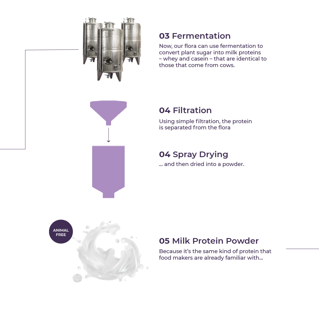 PerfectDayFoods's tweet photo. It's not from cows, oats, or almonds. It's real #dairy made through #fermentation – like brewing beer! – and without any animals whatsoever. 

Tap through to learn how we do it. Want a deeper dive? Visit our Process page here: https://t.co/OR3zl11nWO https://t.co/ZiBDcExrWe