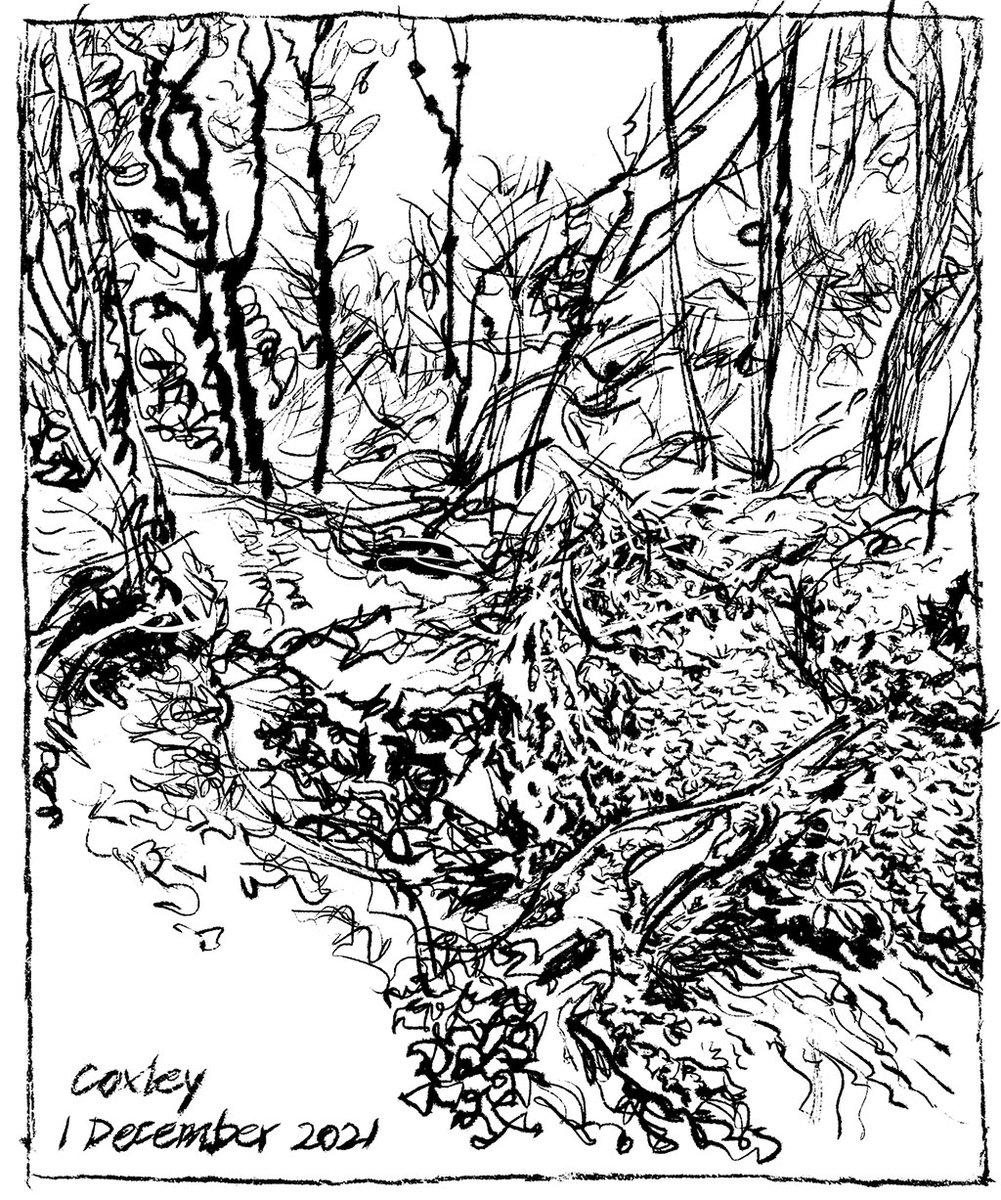 Wild_Yorkshire's tweet photo. Thereβs a bit of a log jam where fallen crack willow debris has formed a leaky dam across Coxley Beck so after recent rain itβs overflowed amongst the alders.
Drawn in Adobe Fresco.
#adobefresco #coxley #naturesketchbook
https://t.co/cICawQoPhS https://t.co/jhhmySPAhP