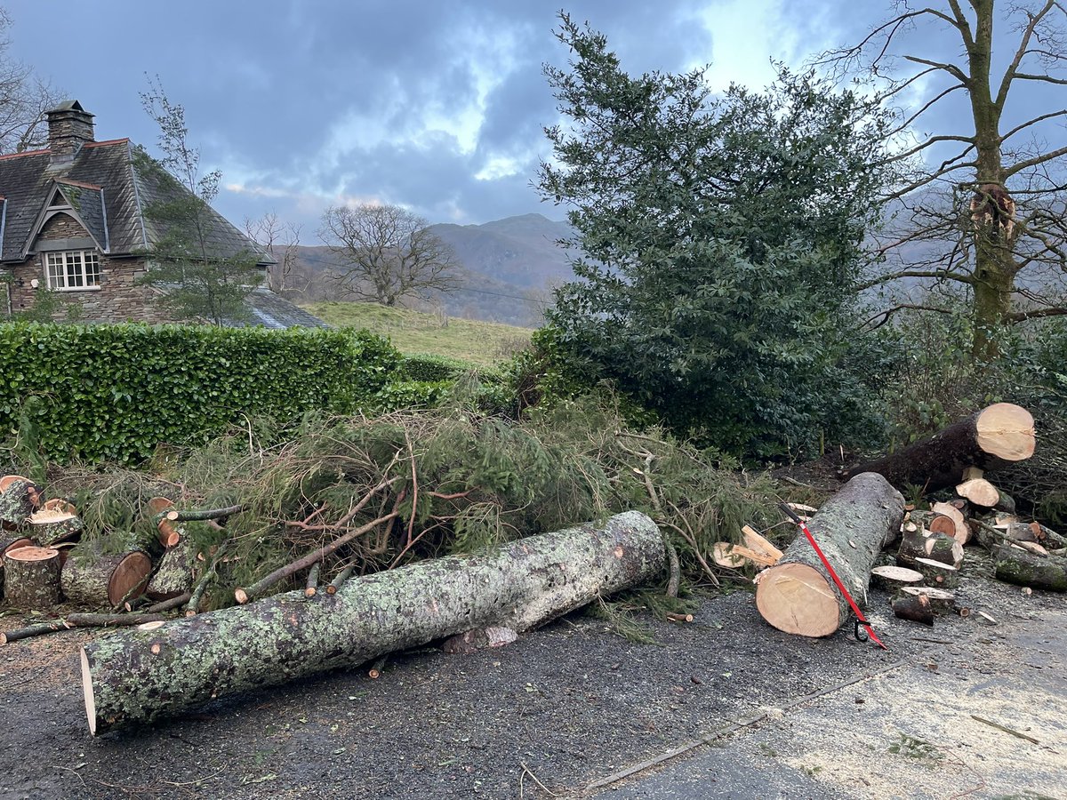 #storm damage clearance today #Ambleside #cumbria #asladetreeworks
