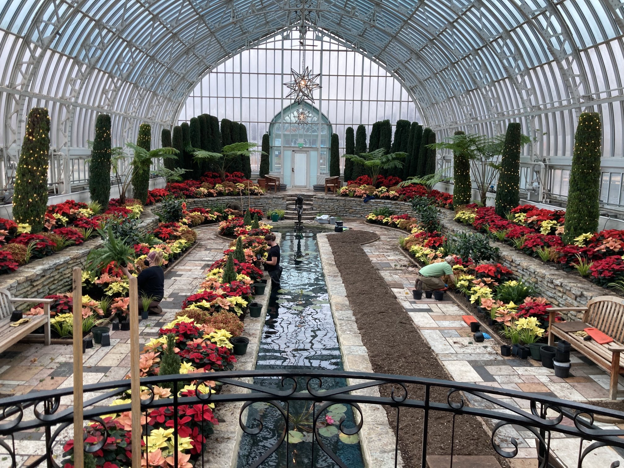 como zoo comozoo twitter