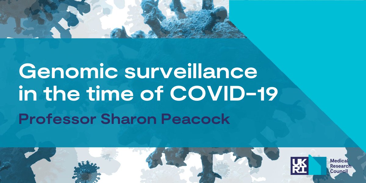 The_MRC's tweet photo. "How did you do it so quickly?" That's the question that Professor Sharon Peacock gets asked the most about @CovidGenomicsUK. 

New on our blog, Prof Peacock shares COG-UK's story and the decades of genomics research that made it possible: https://t.co/kN1Krl8jOQ #MRCInsight https://t.co/Ul1L2SfqAk