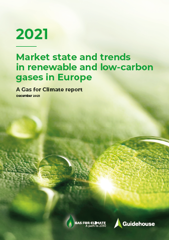 GasforClimate's tweet photo. Gas for Climate's new "Market state and trends" report provides a unique overview on the latest developments in biomethane and hydrogen markets – showing a clear acceleration of supply and demand. Read the report here: https://t.co/FITkEdYu6e #gasforclimate #hydrogen #biomethane https://t.co/rbv8jGmgyd