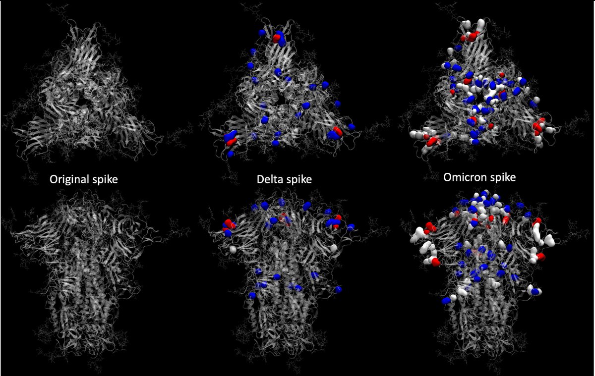 Eric Topol tweet media