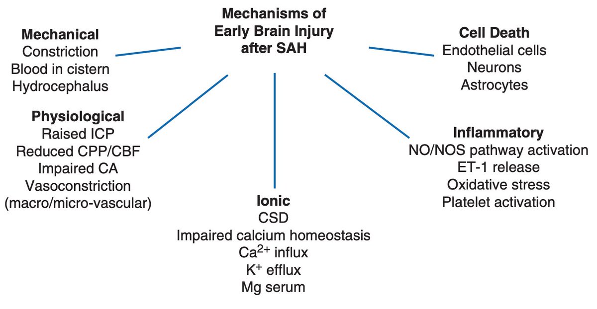 Really pleased that our paper investigating the effect of early brain ...