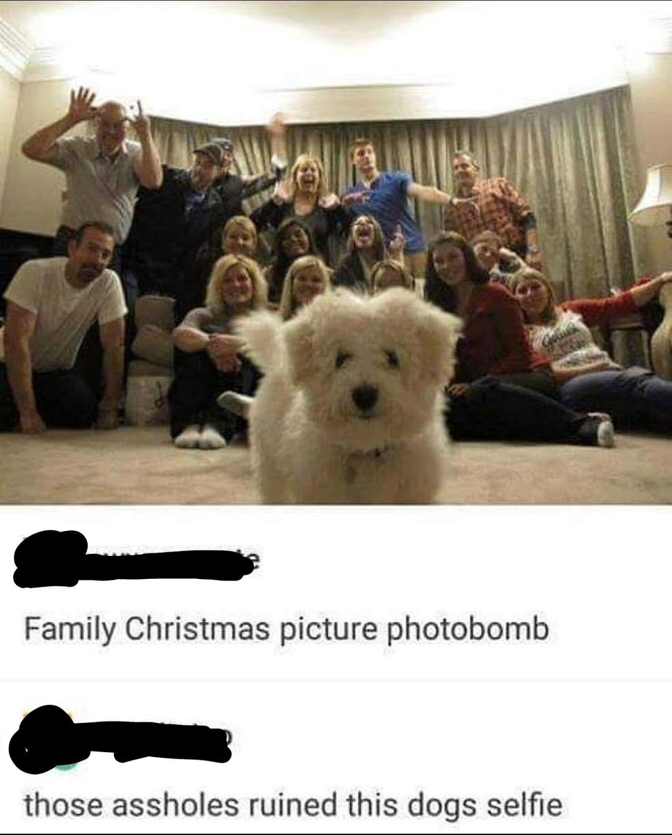 memescentrai's tweet image. Seems like a planned photo bomb to me.