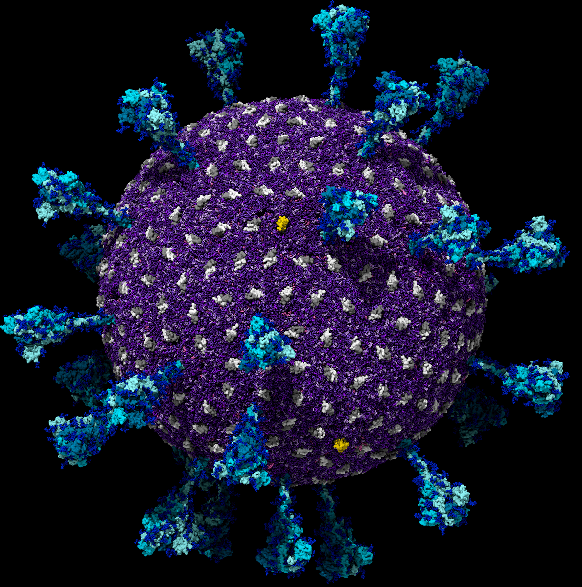 Eric Topol tweet media