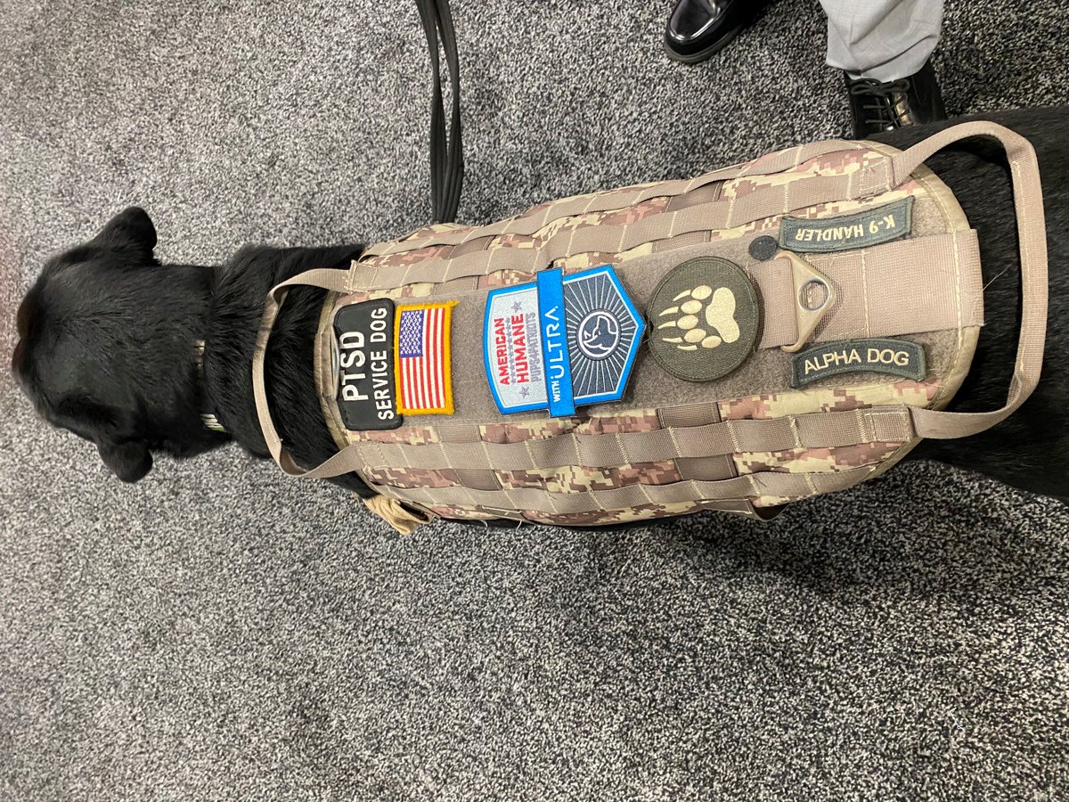 AmericanHumane's tweet image. Ultra is a sponsor of our #Pups4Patriots program, providing lifesaving service dogs for #veterans in need. U.S. Army Veteran Mark and his service dog, Georgi, are at Ultra’s booth for #AOC2021! Stop by to say hello and learn more about our partnership. @AOCrows @UltraElec_Group