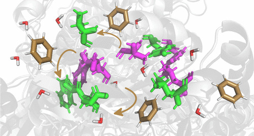 JCIM_JCTC's tweet photo. Cosolvent and Dynamic Effects in #BindingPocket Search by #Docking Simulations  
https://t.co/5UHTgjl9gG  
@juanjnogueira  
#current_issue #compchem https://t.co/4y5vpRQAOx