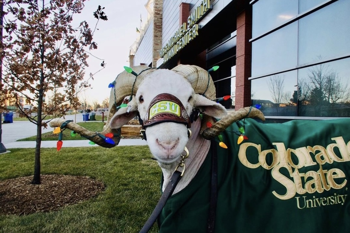 CSUAlumni's tweet image. ‘Tis the season… Happy #December, Rams! ✨💫