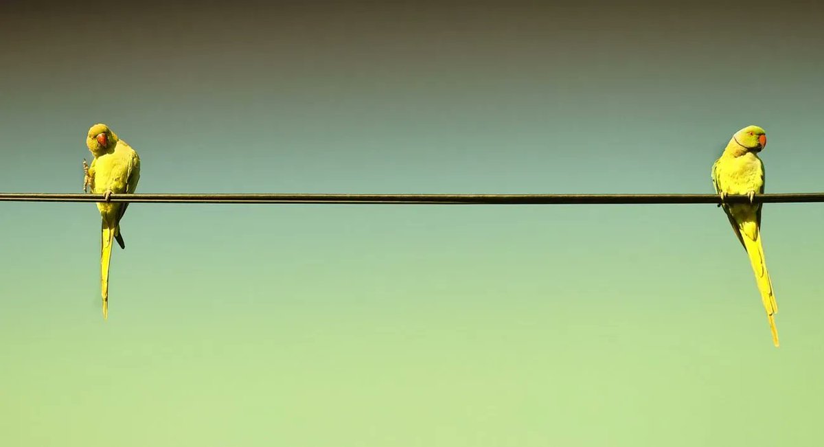 wipplay's tweet photo. 🔴 #Animot Énantiomorphe (adj.) :«Qui ont la même forme, mais sont symétriquement inversés. Synonyme : symétrique, chiral.» #Motdevocabulaire #LangueFrancaise 👉https://t.co/el7KtGIavw
©Mo lrnt https://t.co/67CrsJMHFm
