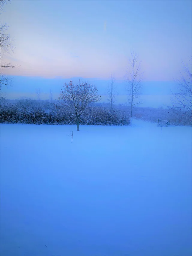 CampingEdition's tweet photo. My Backyard This Morning
#morning #goodmorning #morningsky #morningselfie #morningruns #morningpages https://t.co/qXtHdOEC2K