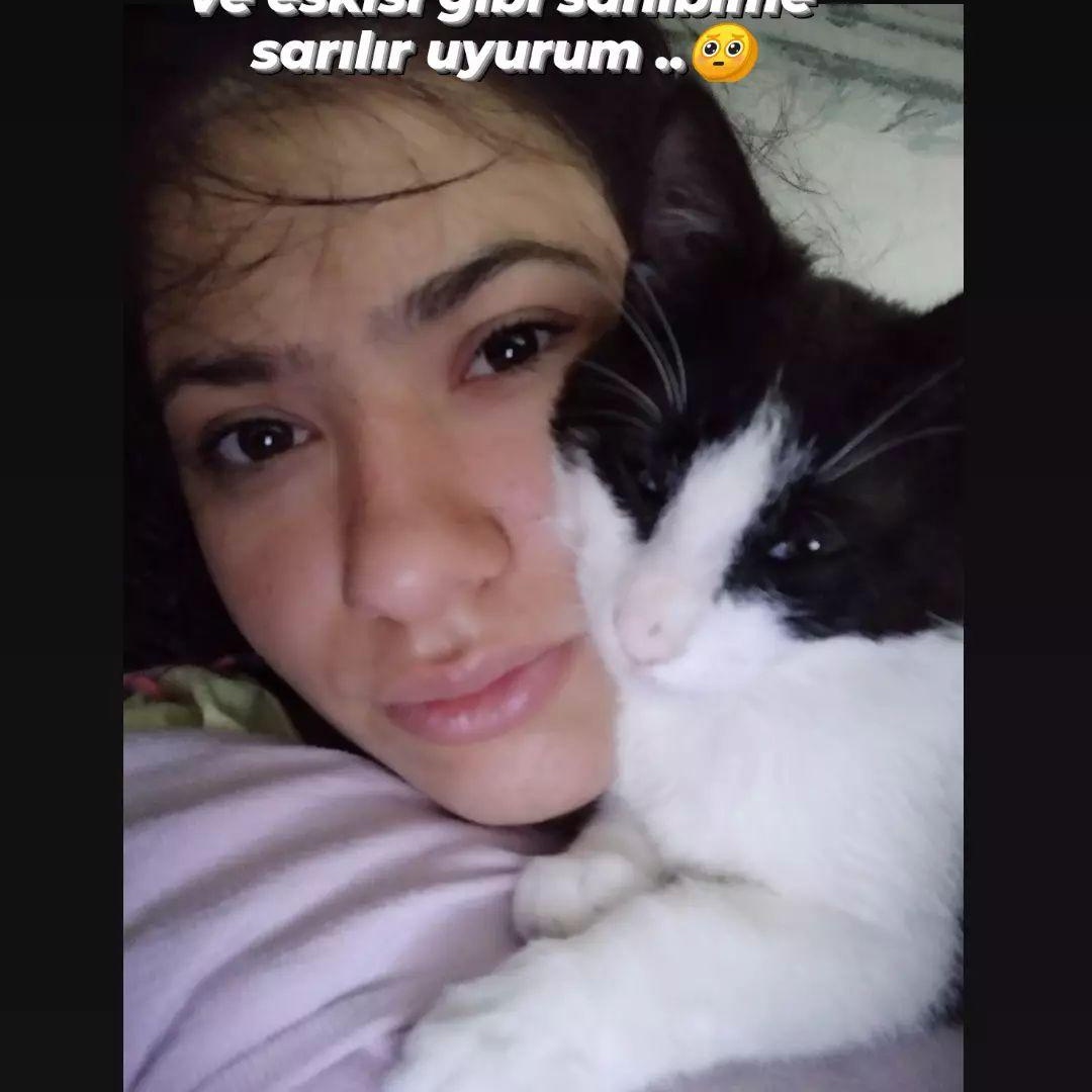 Merhabalar fip hastası kedim için yardım kampanyası başlatıyorum çünkü ilacı Türkiye de yok getirme maliyeti sadece 3dozu 500 dolar lütfen destek olun kedimölmesin #fiphastasıalaicinyardimkampanyası <a href="/haluklevent/">Haluk Levent ( Ahbap Ekibi )</a> <a href="/ahbapplatformu/">Ahbap Platformu</a> @Ahbap_Adana <a href="/HayvanseverGaze/">Hayvansever Gazetesi</a> <a href="/gsushkk/">GSÜ Sokak Hayvanlarını Koruma Kulübü</a> <a href="/SPatidostu/">Sokak_patidostu</a>