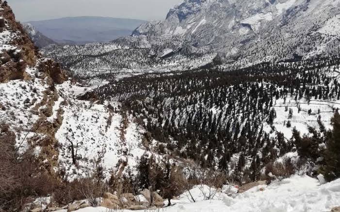 toorhoonme's tweet photo. People usually go to murree to enjoy the snowfall here in Pakistan, but I will go to Ziarat this time, real beauty is there which people haven't explored yet, I am sharing some visuals of Ziarat 🇵🇰 Valley of #Snober. 
#Balochistan 
#PakistanZindabad https://t.co/5JLrfwr48T