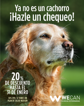 rivera_vet's tweet photo. CAMPAÑA CHEQUEO ANIMALES ADULTOS Y ANCIANOS
Consúltanos en clínica veterinaria Wecan Rivera (Antequera)
📞 952702487 https://t.co/apVytrJ40h