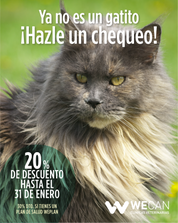 rivera_vet's tweet photo. CAMPAÑA CHEQUEO ANIMALES ADULTOS Y ANCIANOS
Consúltanos en clínica veterinaria Wecan Rivera (Antequera)
📞 952702487 https://t.co/apVytrJ40h