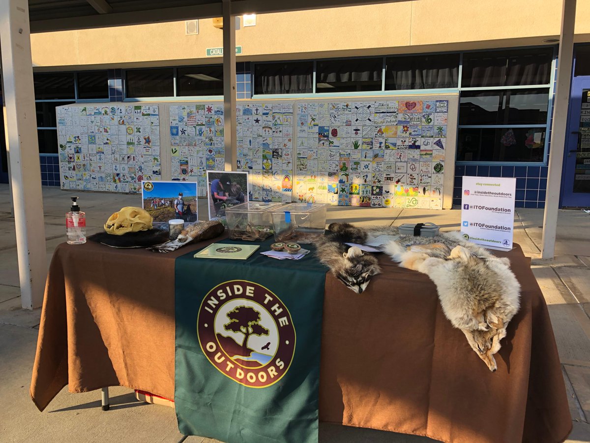 Inside the Outdoors tweet media