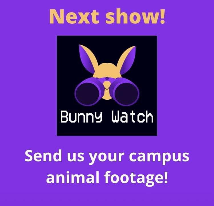 A relaxing show featuring only videos of animals from campus.
Give all those videos in your camera roll a purpose and send them to us at stationmanager@uea-tv.com! We’ll feature them in our episodes!
(Please don’t stress out the animals or get unnecessarily close to them!)