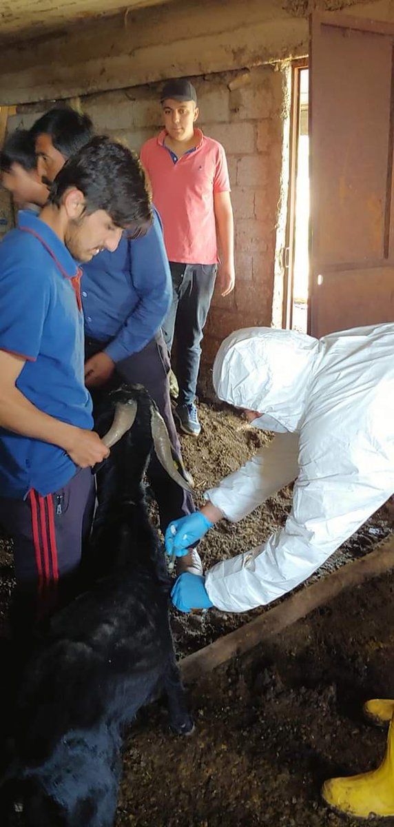 Murat030614's tweet photo. Beşeri hekimlik insan içinse,veteriner hekimlik insanlık içindir
#SağlıkcınınOyuYok 
#veterinerhekim 
#veterinerhekimlersağlıkpersonelidir https://t.co/IiuJAQgQw3
