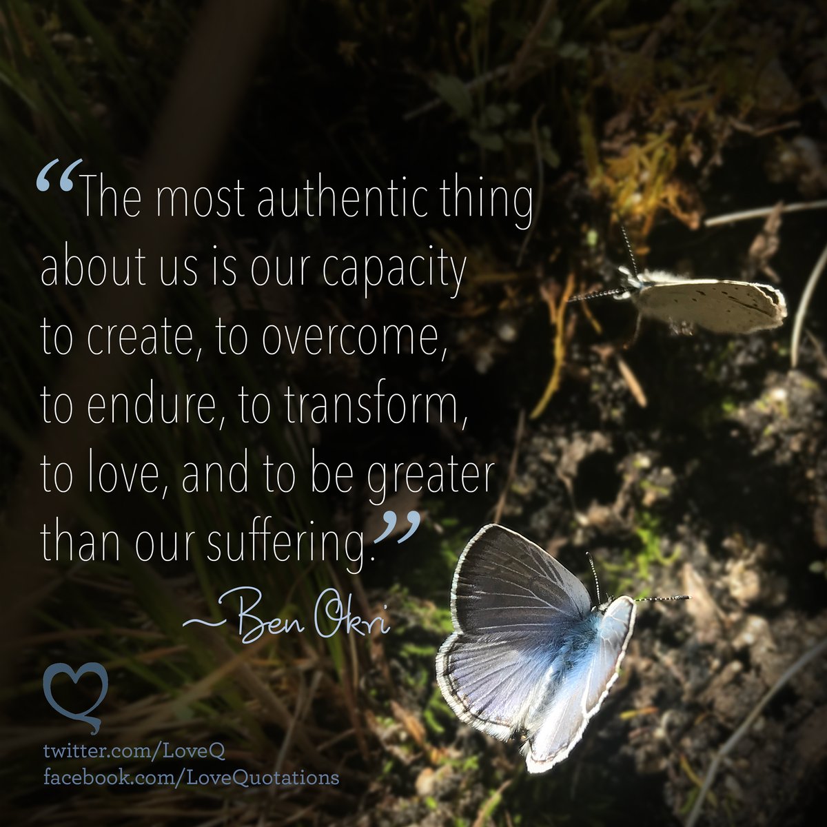 Love Quotes tweet media