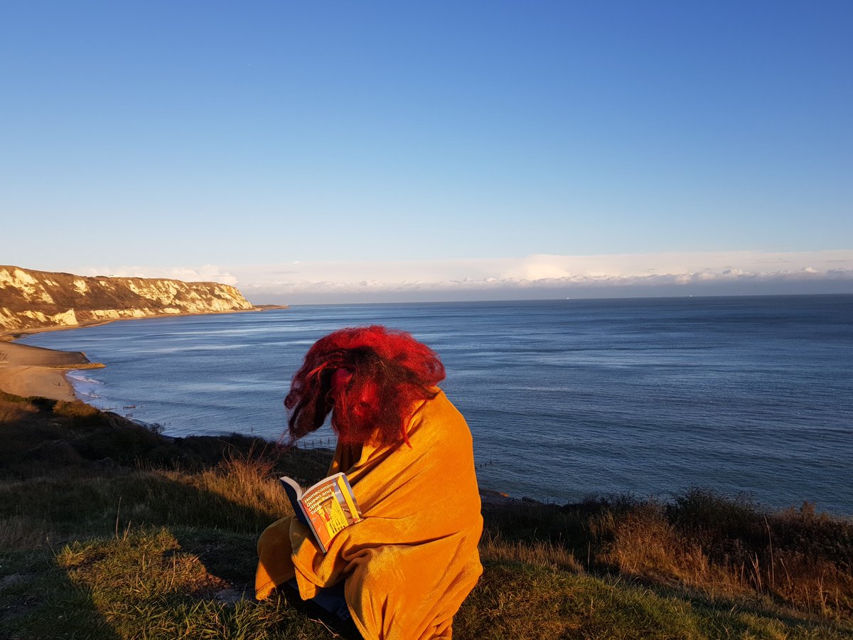 Michele Sheldon tweet media