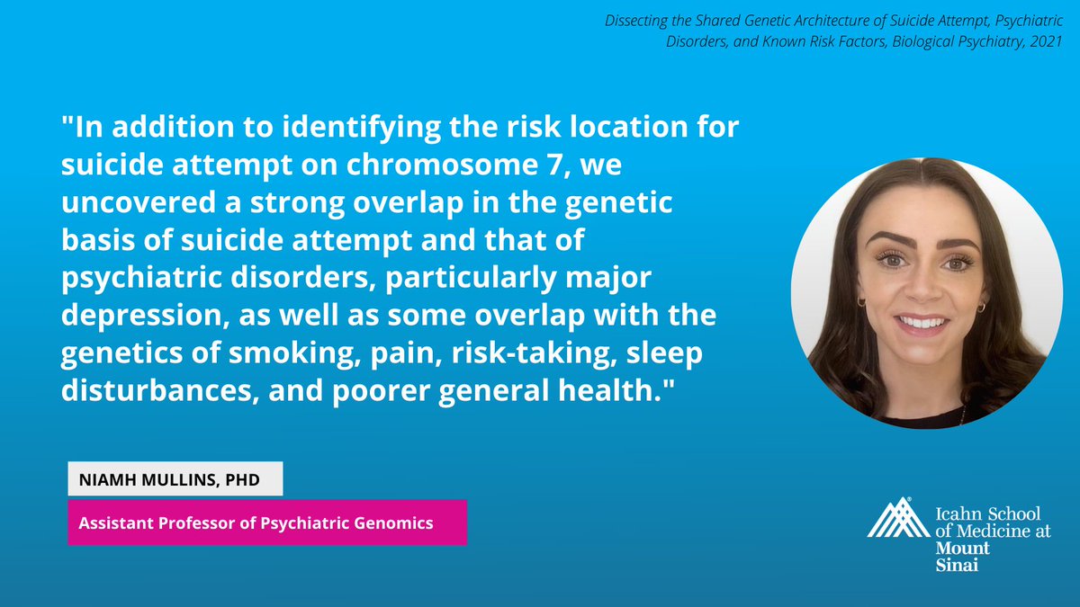 MountSinaiPsych's tweet photo. The latest from @NiamhAMullins: the team dissected the shared genetic architecture of suicide attempts, psychiatric disorders, &amp; non-psychiatric risk factors, and found genetic underpinnings not driven by underlying psychiatric disorders. https://t.co/80yjpJSOBm @BiologicalPsyc1 https://t.co/wEhH1uDrWC