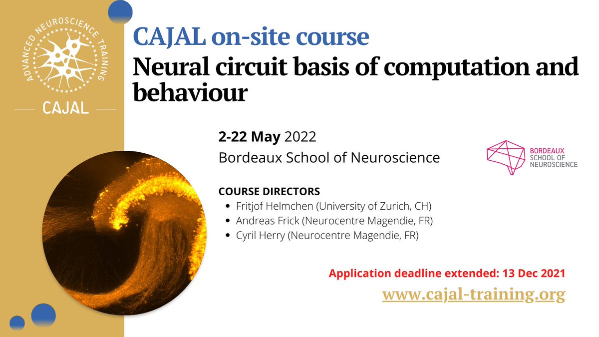 Cajal_Training's tweet photo. Application deadline extended to 13 Dec for the Cajal #onsite #handson #training course on Neural circuit basis of #computation and #behaviour.
👉 https://t.co/S2UkUhSNX0
📆2-20 May 2022
🌍@bdxneuroschool
@CyrilHerrylab https://t.co/xWGo90lAVn