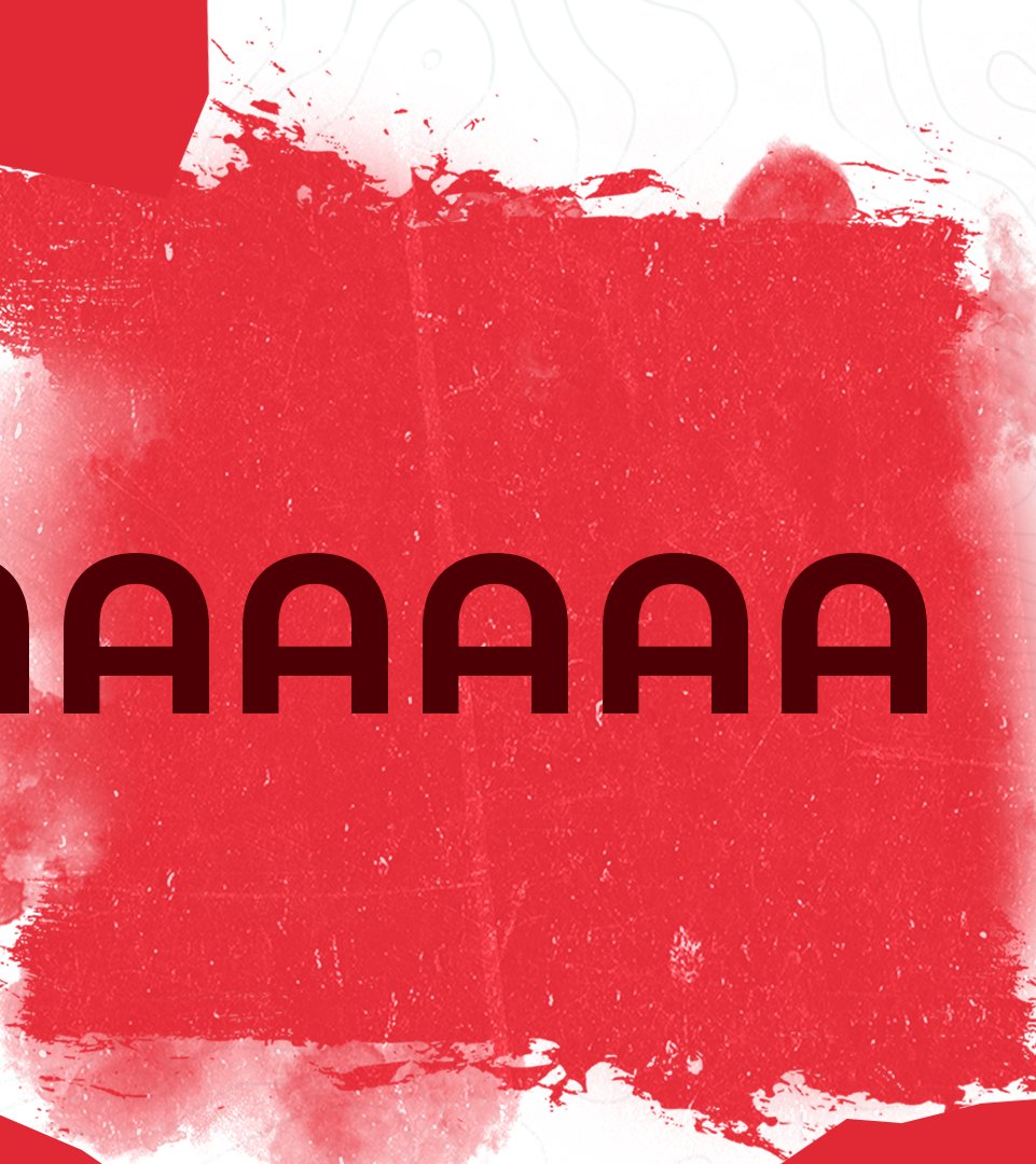 GummerElc's tweet image. 