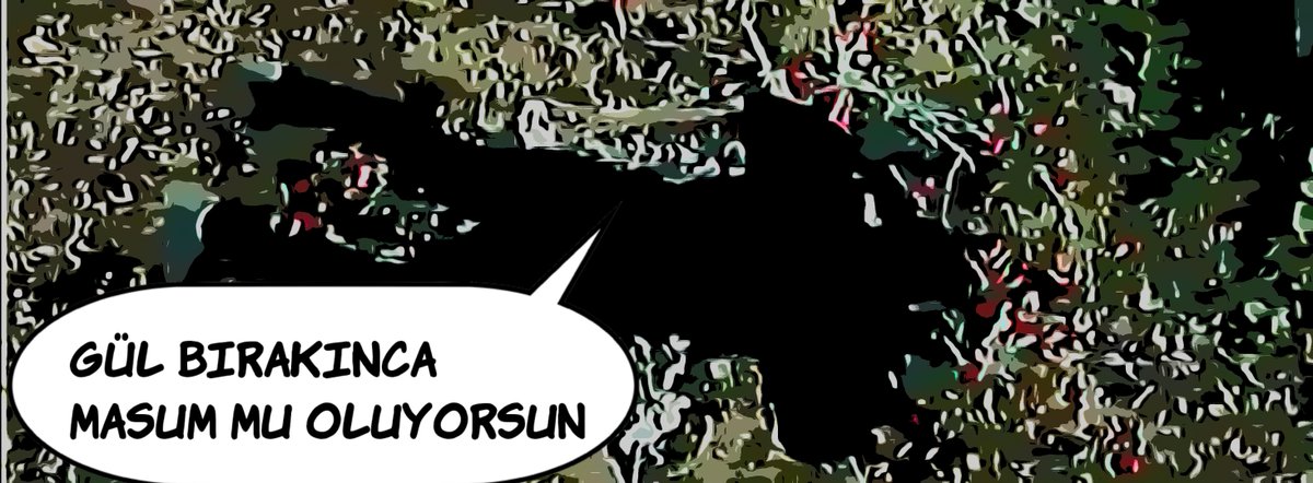 Gül bırakınca masum mu oluyorsun >>comicaland.com #üçkuruş #üçkuruşdizi #ferhanşensoy #ferhansensoy