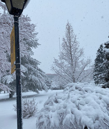 AdelphiU's tweet image. #WinterAtAdelphi is calling our name! 💙 Tag a buddy you want to have a snowball fight with! ❄️ #ReplyTweet