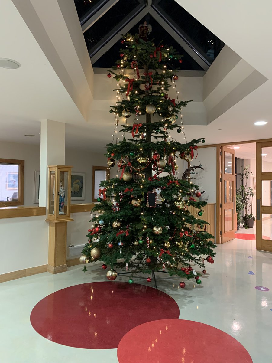 December 1st and the start of the Christmas feeling in the Junior School! Sincere thanks to our amazing InHouse Committee for decorating our beautiful Christmas trees.