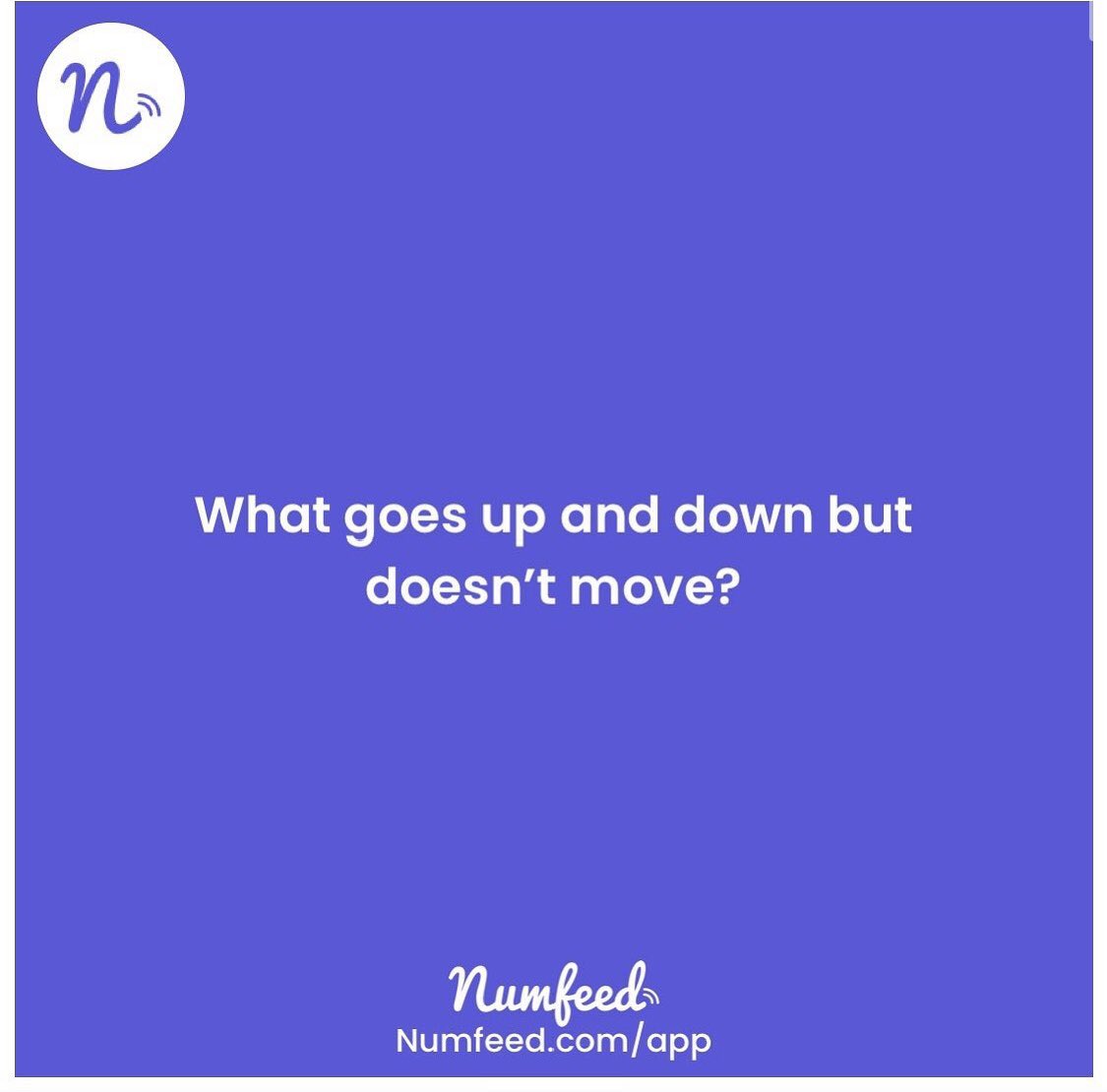 numfeed tweet media