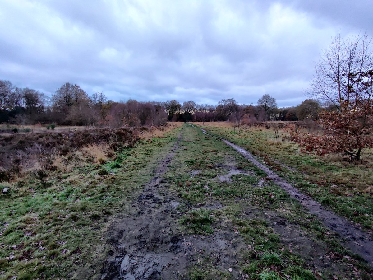 LindowCommon's tweet photo. Today is the start of meteorological Winter ❄️
A rather gloomy start to the season.

Only 3 months until Spring...😬

#LindowCommon, #Wilmslow https://t.co/A5eqlXTAQp