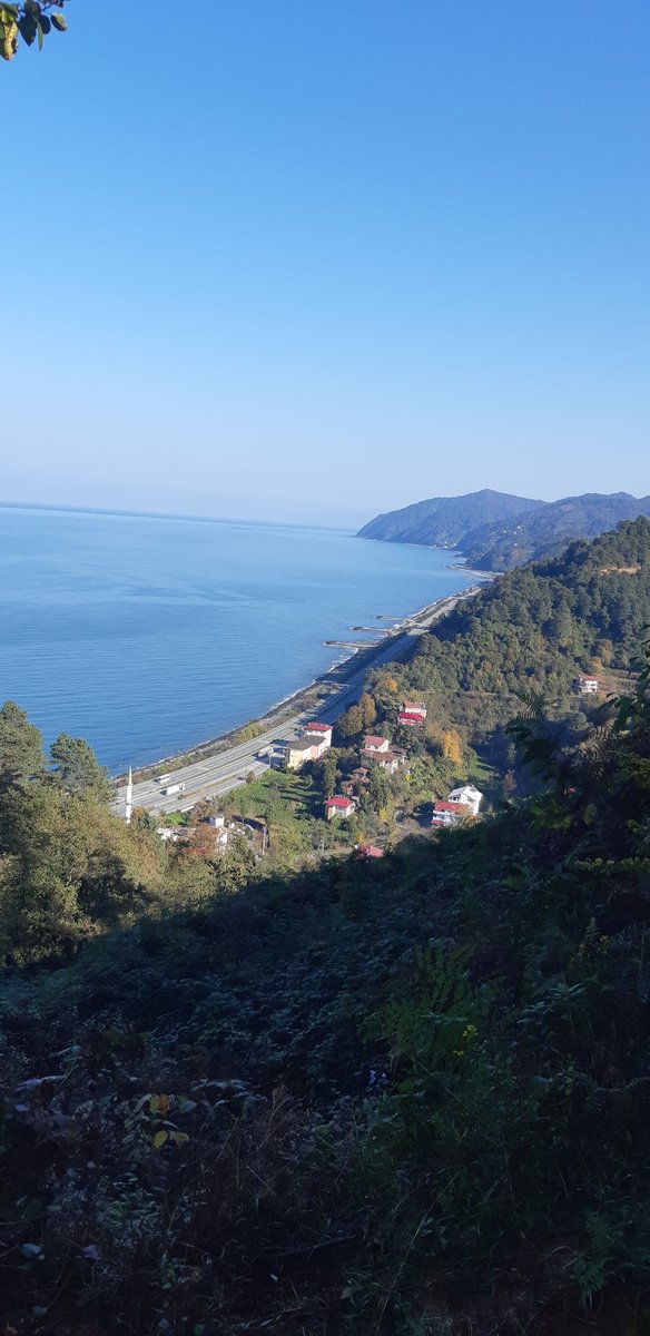 nolivadeni's tweet photo. Kutsal topraklar #vice #torosi https://t.co/mFCWfjwpnz