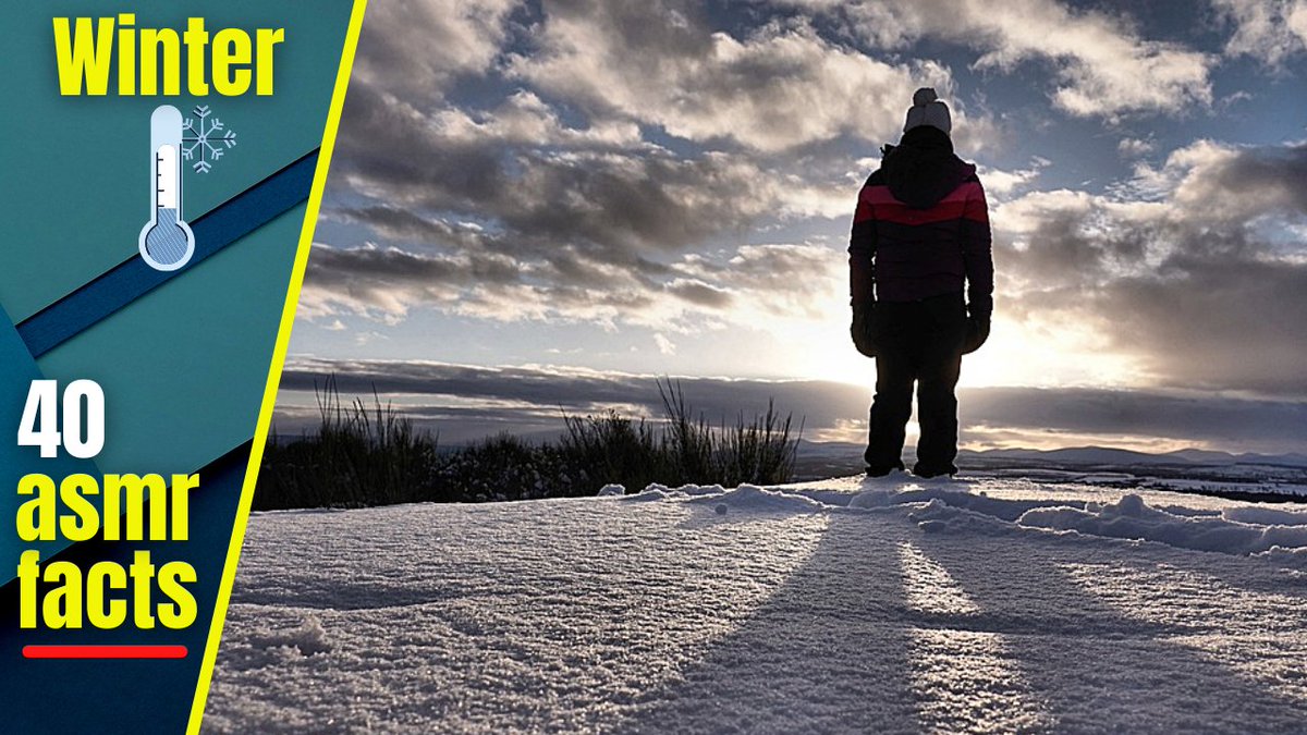 asmrwhispers21's tweet photo. [ASMR] 40 Chilly WHISPERED FACTS about WINTER ❄: https://t.co/PlKetR0fuq

Brrrrr, better wrap up warm for this one, guys 😆

#ASMR #BelfastWhispers #ASMRCommunity #ASMRWhispers #ASMRAccent #RelaxingASMR #ASMRTriggers #ASMRYouTube #YouTube #ASMRFacts #Facts #Winter #Cold #Snow https://t.co/ZQ4uOqj2Rt