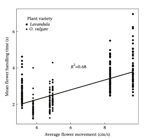 AnimBehSociety's tweet photo. 🚨New paper Alert:
How do wind and temperature affect #honeybees? #Bees visited fewer flowers as wind speed increased due to increased handling time. Temperature had no effect on visits! #foragingbehaviour #pollinator
By G. Hennessy et al.
Link: https://t.co/XOjHvkWJtw https://t.co/rtekok3agZ