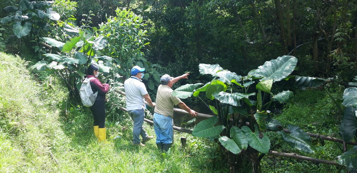 Produccion_Ecu's tweet photo. 📍#Loja| A través de la Subsecretaría de Acuacultura y el proyecto "Mejora en la Competitividad del Sector Acuícola y Pesquero", se realizaron inspecciones para la implementación de producción de trucha 🐟 en la parroquia Yangana, a fin de diversificar la producción en el sector. https://t.co/H4rEHCWP1a