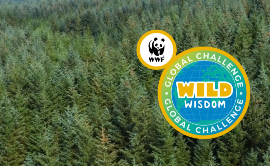 Attention #wildwisdom21 finalists! Don't forget to sign up to join the live final quiz tomorrow! 2 Dec 14:00GMT. Be ready 15 mins before the start. Your entry code will have been emailed to you. Great prizes to be won for schools &amp; individual students! ow.ly/gNEQ50H13WG