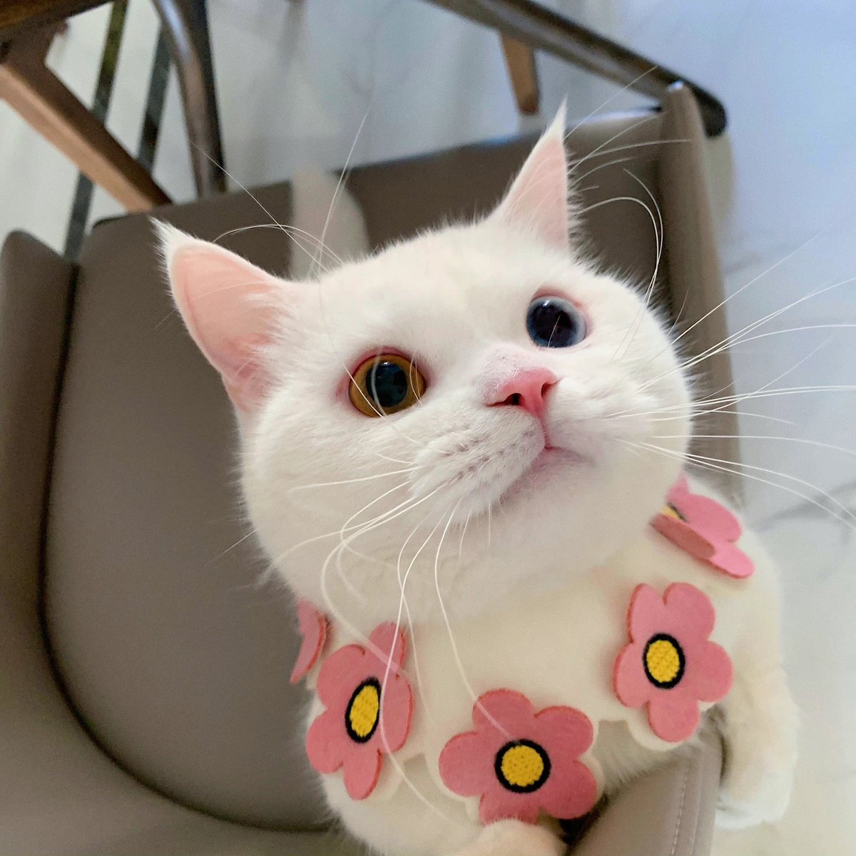 cute?🥰