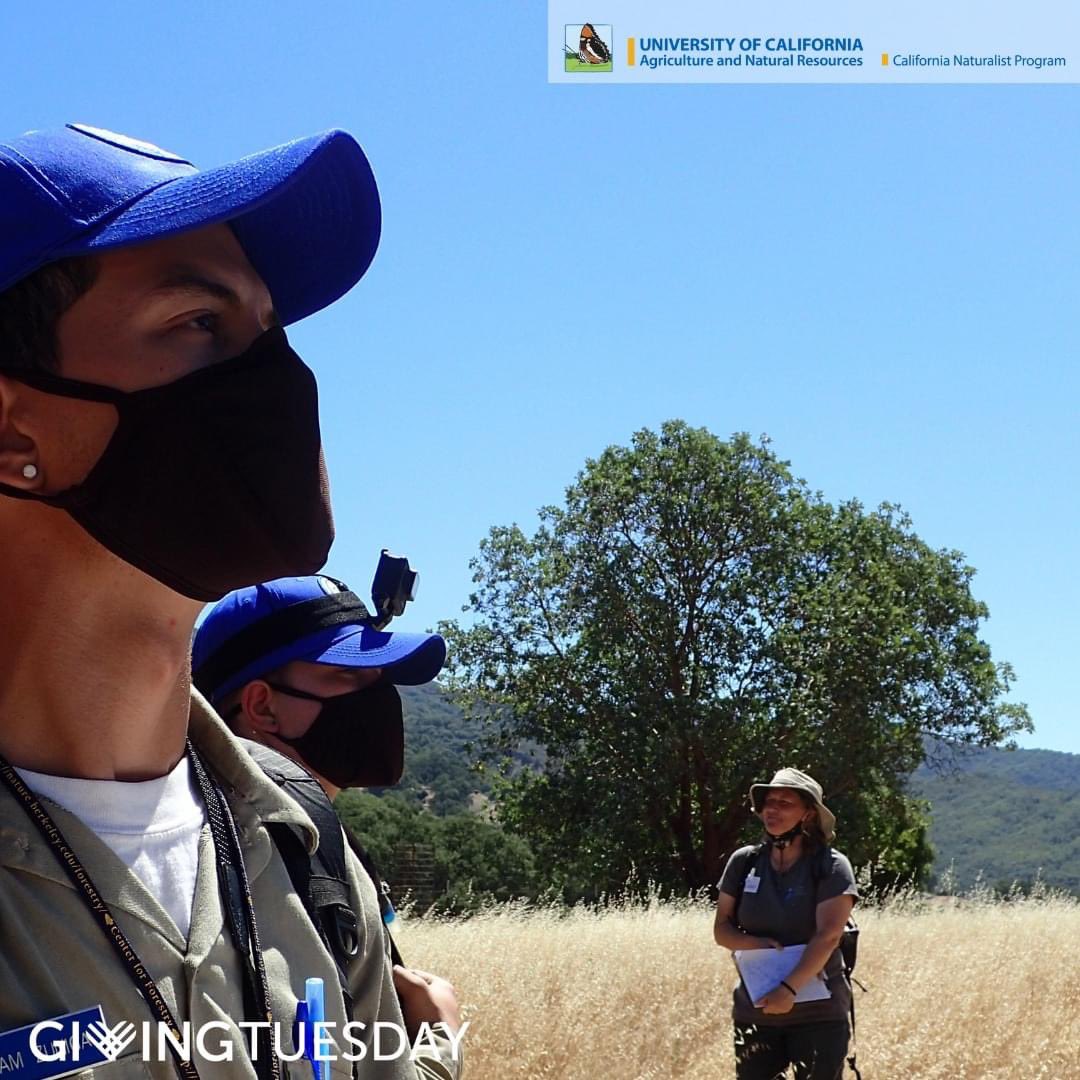 CANaturalist's tweet photo. THANK YOU! #GivingTuesday is over but we're grateful for all the ways you support our #CalNat and #UCClimateStewards courses and statewide partners year round. https://t.co/lEL0Tw45NQ