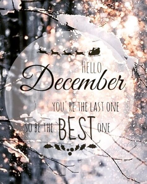 pegsy01's tweet photo. @MarcusKowal
Dec.1
#hellodecember🎄🎅🎁
#AB1713🐸❤️
#staymerry
*pls sign+share
https://t.co/QXdCiDDuaj
(dedication 
pics,poems,quotes,short msgs + humor 
In loving memory of
Liam Mikael Kowal)
#letterstoliam
#rememberliam
#dontdrinkanddrive
#bekind
#beyourbestversion https://t.co/ZchIg31h0C