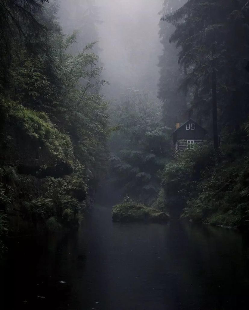 earthoffiicial's tweet photo. Morning mood in Czech Republic 🇨🇿 | via: ericfriese https://t.co/aA9I0SchwZ