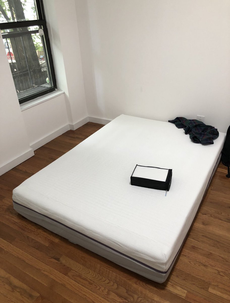 lenarosejohnson's tweet photo. nyc apartment character development 🍄 https://t.co/HX7XejqJZJ