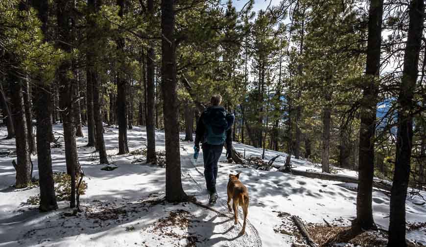 Contemporary Nomad tweet media