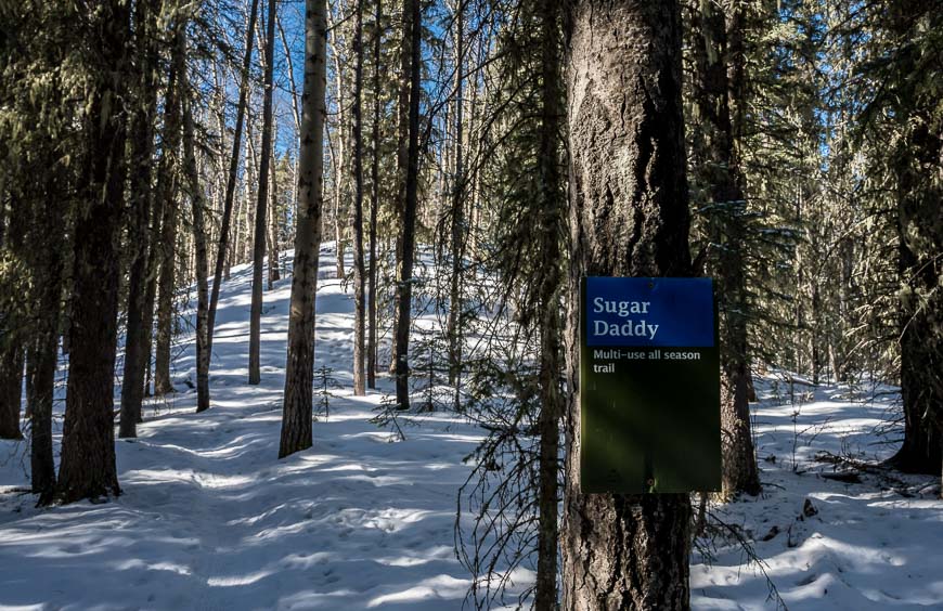 Contemporary Nomad tweet media