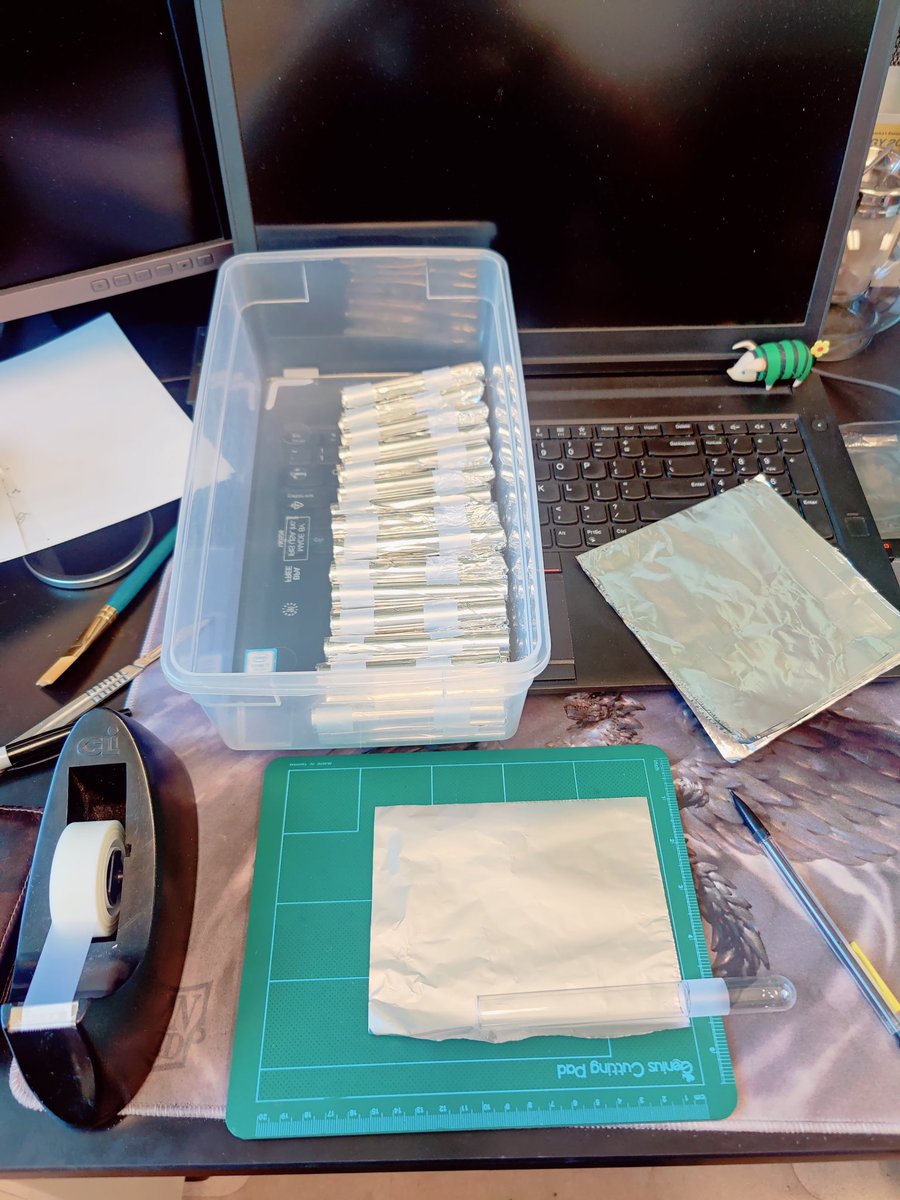blattodeus's tweet photo. #perfectionism
My internal neatfreak in full force.
Assembly line to make harborage covers for my Nylanderia fulva colonies. All in the exact same length that just covers the colony but ensures easy handling and observation of water levels #entomology #tamu #ants #urbanentomology https://t.co/VIPX9ax0vL